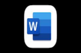 Microsoft Word