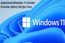 Windows 11 Pro Insider Preview 10.0.22000.120 (x64) Preactivated