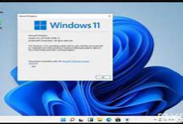 Windows 11 Build 21996 ISO