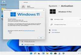 Windows 11 Pro 22H2 b22623.730 x64 Pre-Activated (No TPM) - 